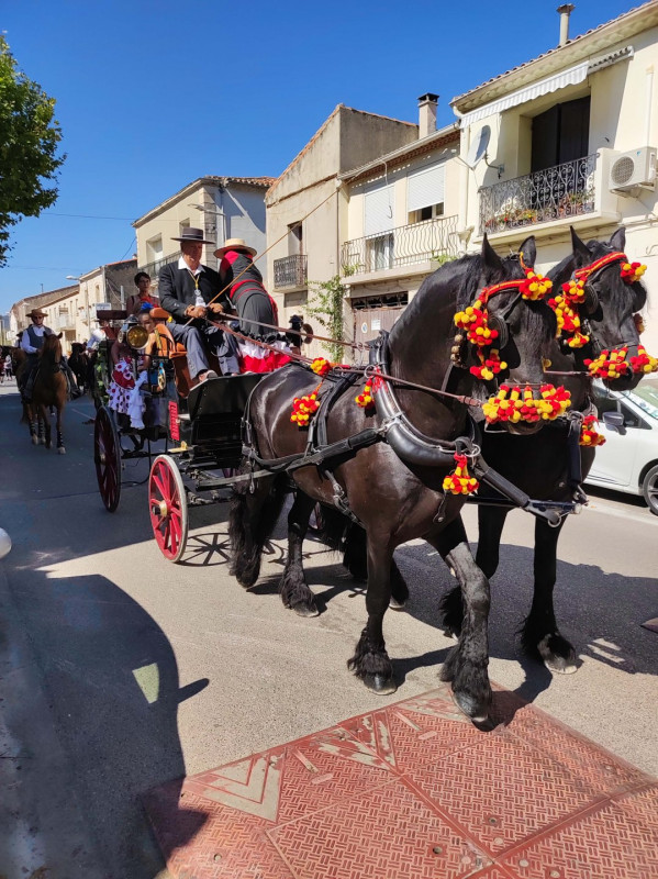 feria-des-vendanges-mireval-13658878
