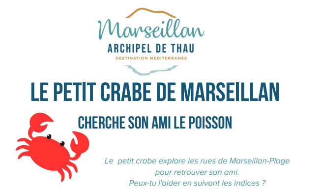 le-petit-crabe-de-marseillan-16748080