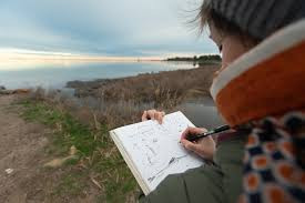 le-temps-de-l-etang-dessiner-la-lagune-16644591
