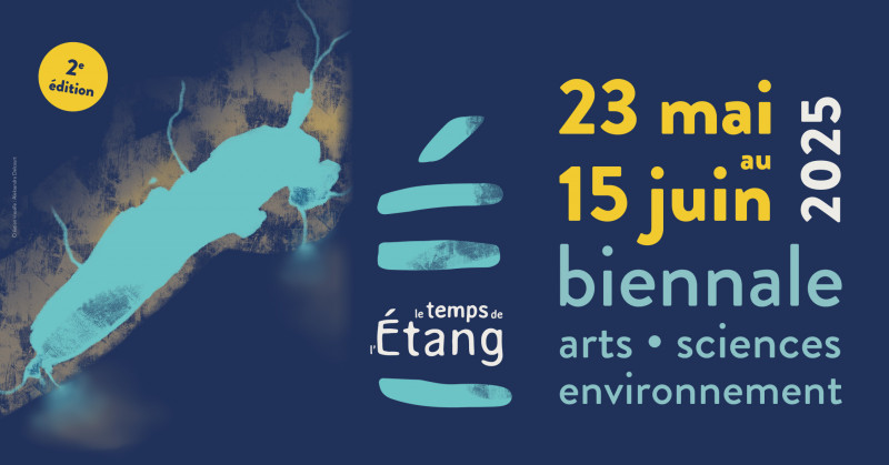 LE TEMPS DE L'ÉTANG : L’EAU QUI NOURRIT