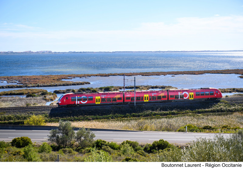 LiO Train SNCF Occitanie : Près de la Palme