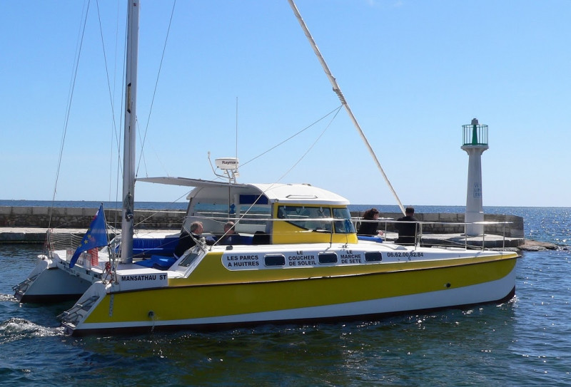 mansathau20-16435134