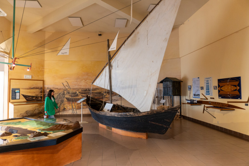 musee-de-l-etang-de-thau-m-ricard-ot-thau-29682-1200px-13702206