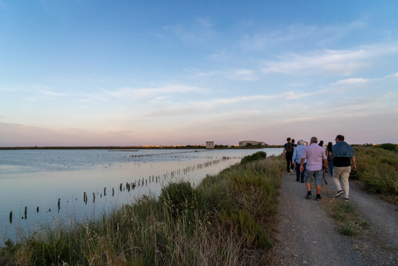 Salins-by-night