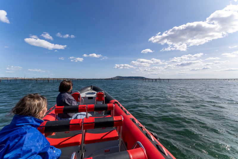 sortie-x-boat-42-15183399