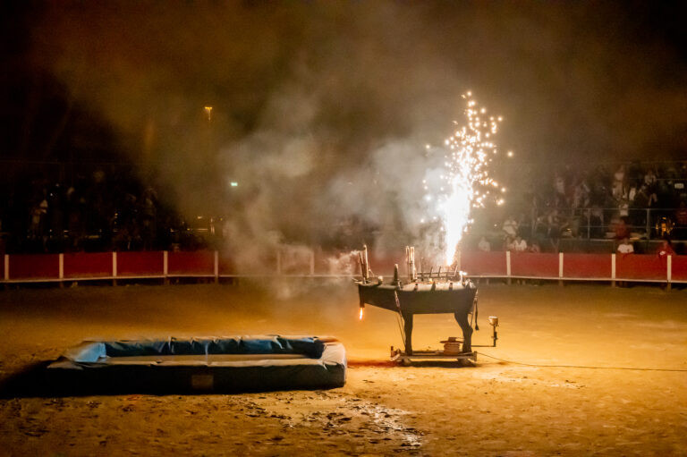 TORO-PISCINE