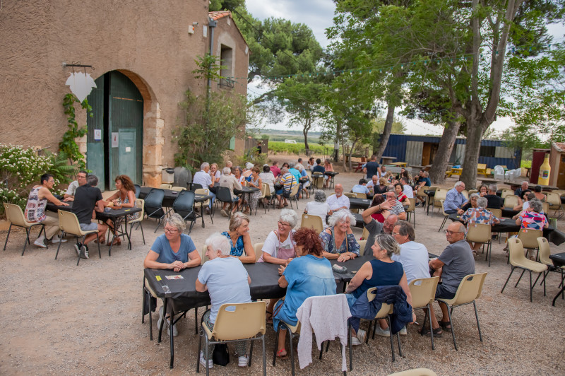 UN CHEF DANS LES VIGNES AU DOMAINE DE LA PLAINE