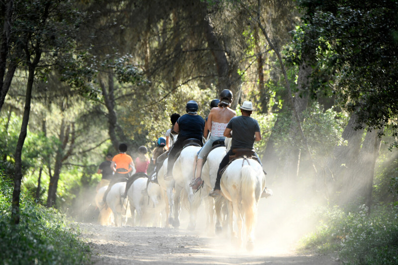 A horse ride through the Aresquiers wood