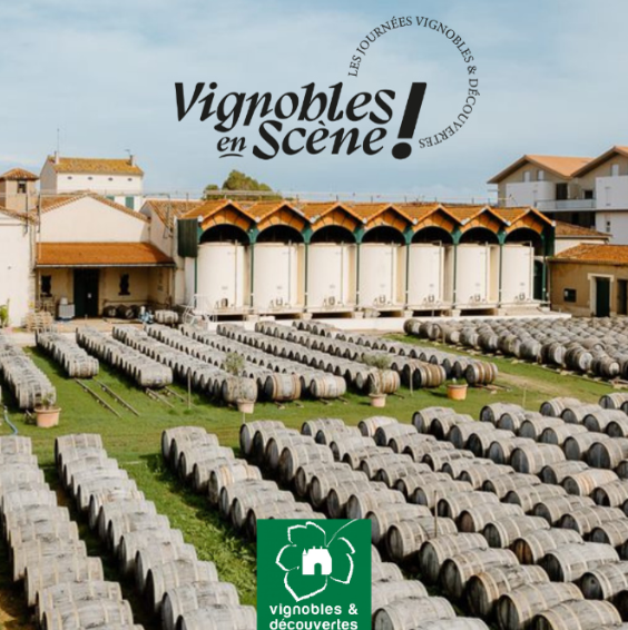 vignobles-en-sc-ne-noilly-prat-17748951