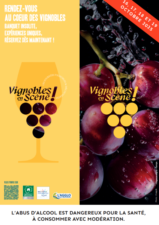vignobles-en-scene-17748929