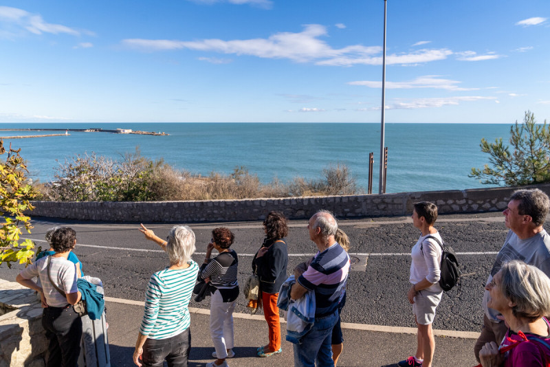 visite-guidee-m-ricard-ot-thau-28621-1200px-16106861