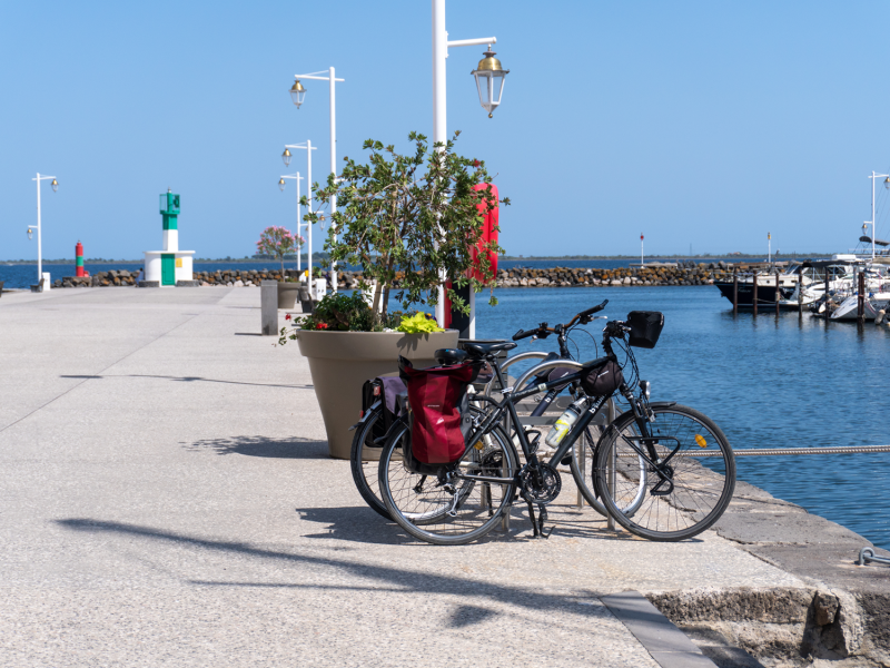 VISITE GUIDÉE : MARSEILLAN ENTRE VIGNOBLES ET ÉTANG