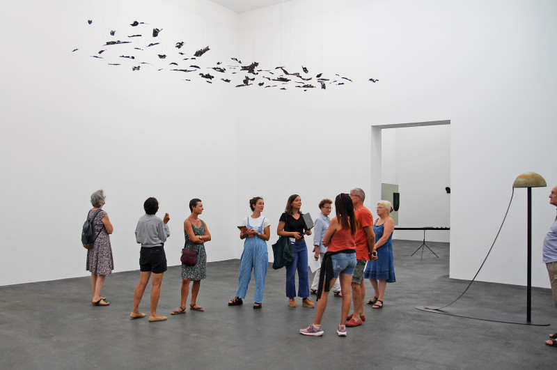visites_flash-3.jpg