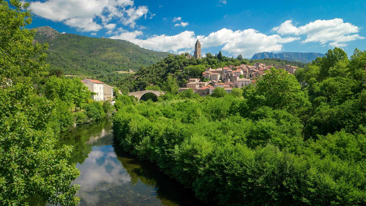 olargues-e-brendle-1-16651291