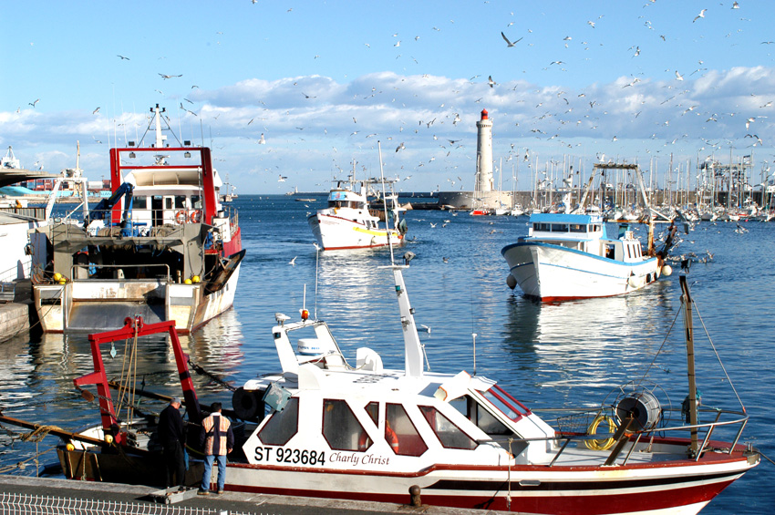 port-de-peche-service-com-5793124 - © Ville de Sète