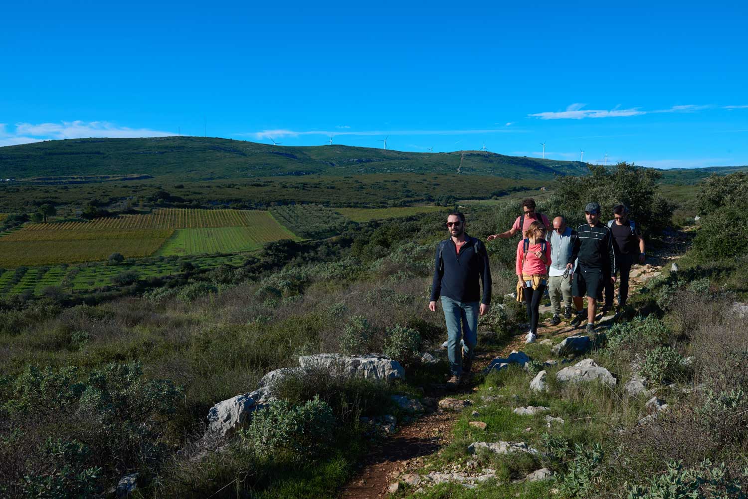 Randonnée dans la garrigue 1 - © Rodolphe Baras - OT Archipel de Thau Méditerranée