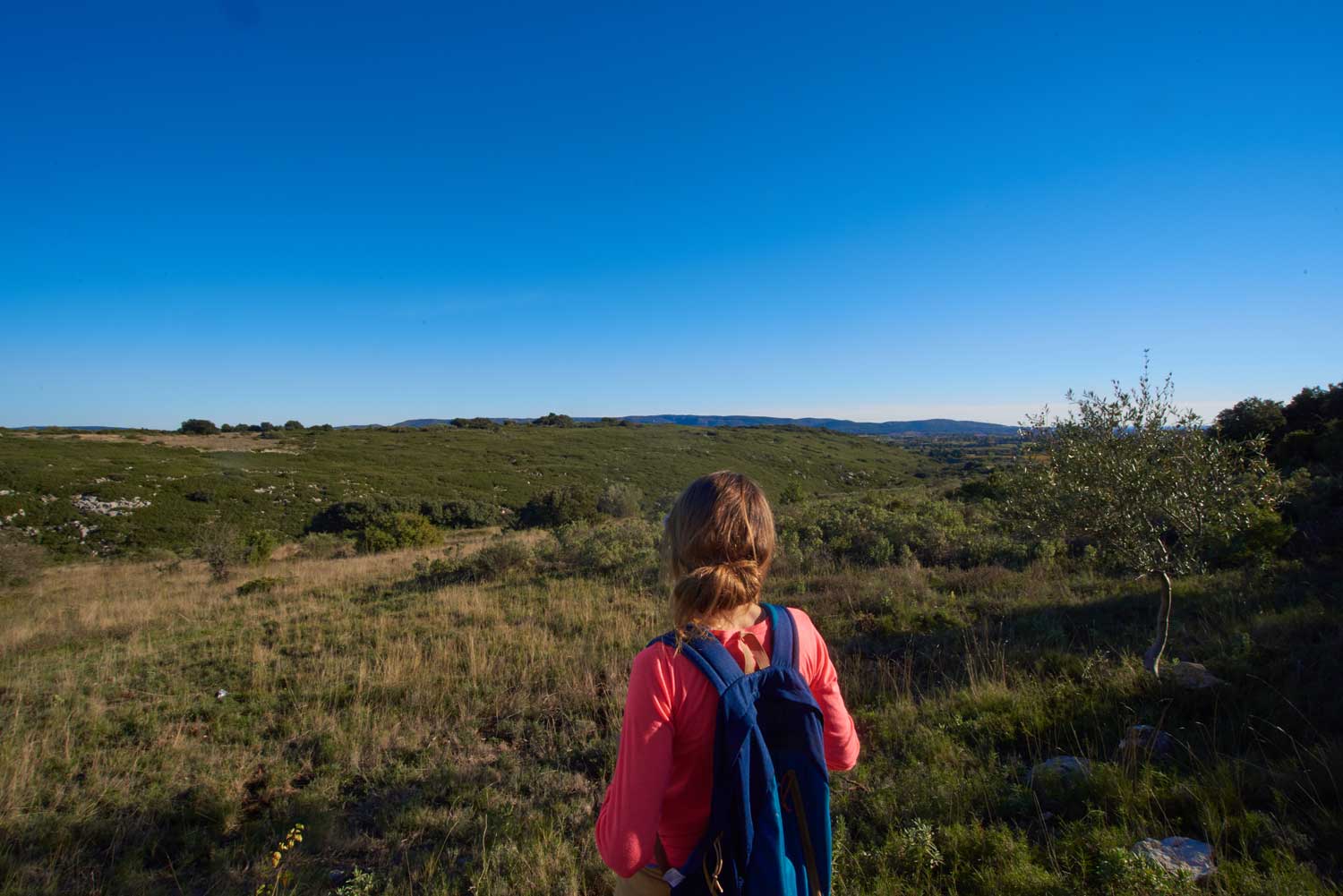 Randonnée dans la garrigue 3