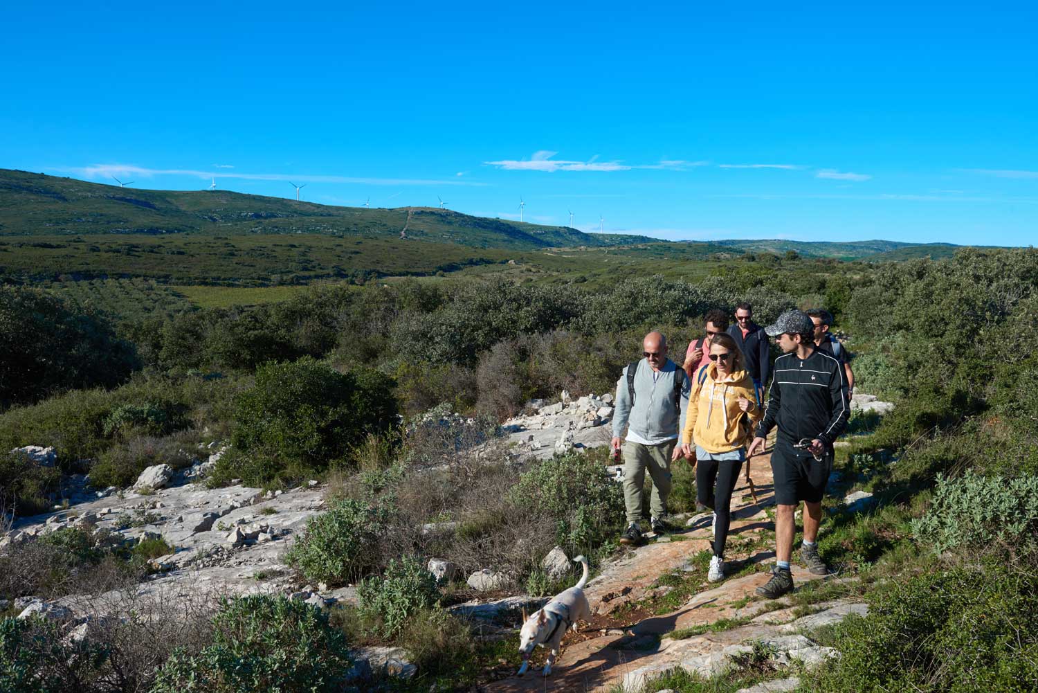 Randonnée dans la garrigue 4 - © Rodolphe Baras - OT Archipel de Thau Méditerranée