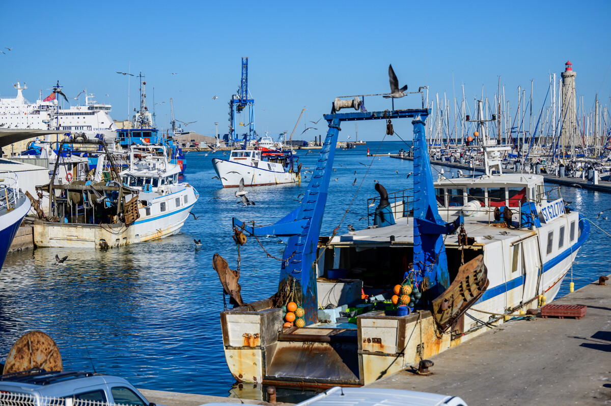 retour-de-peche-r-domergue-ot-thau-20809-1200px-16223942