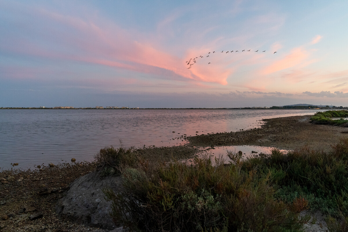 Salins-by-night