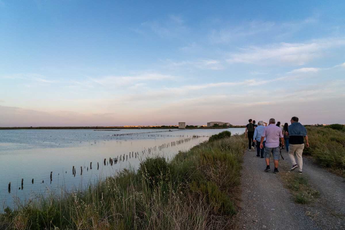 Salins-by-night