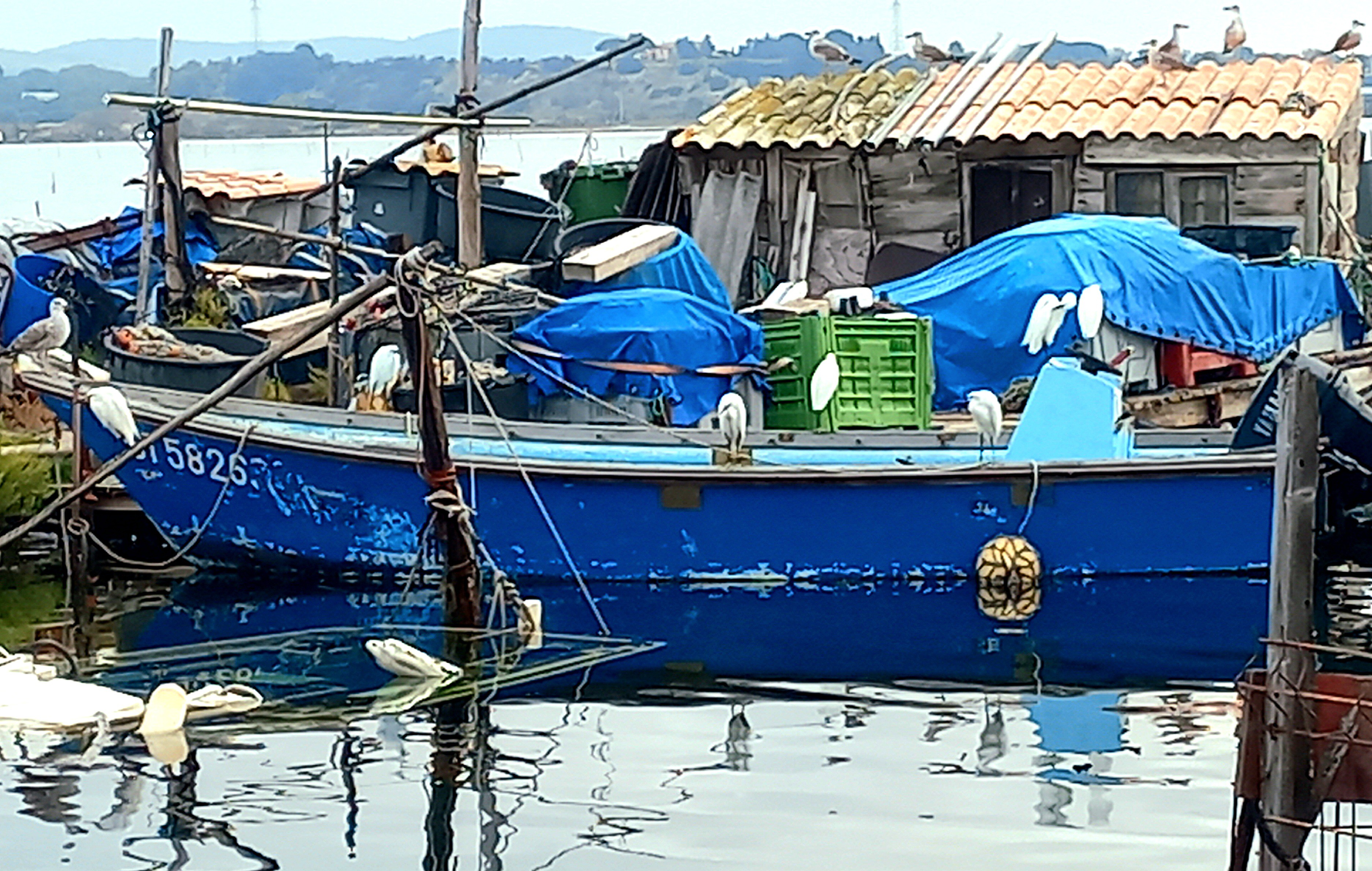 sete-grand-tour-schlama-arnaud-6-16098596