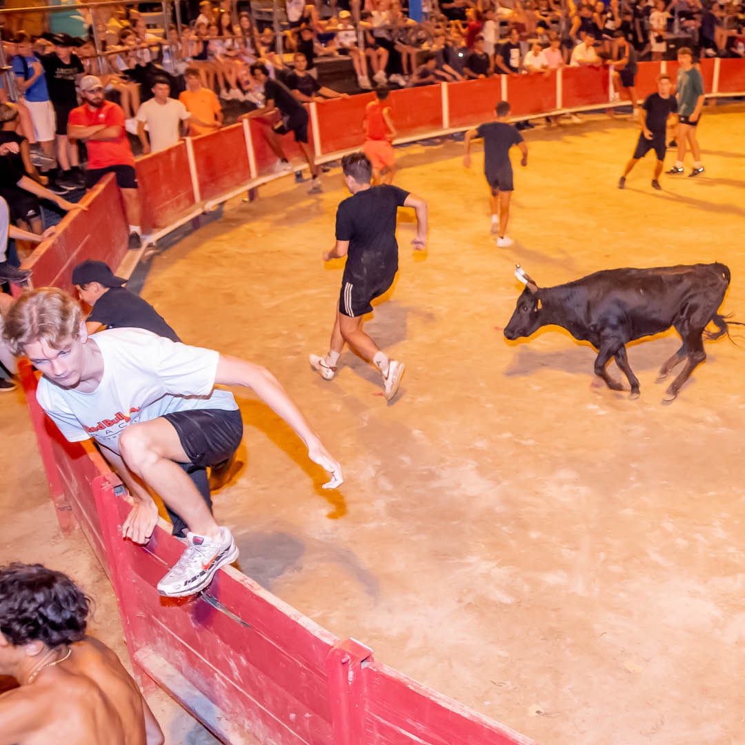 TORO-PISCINE
