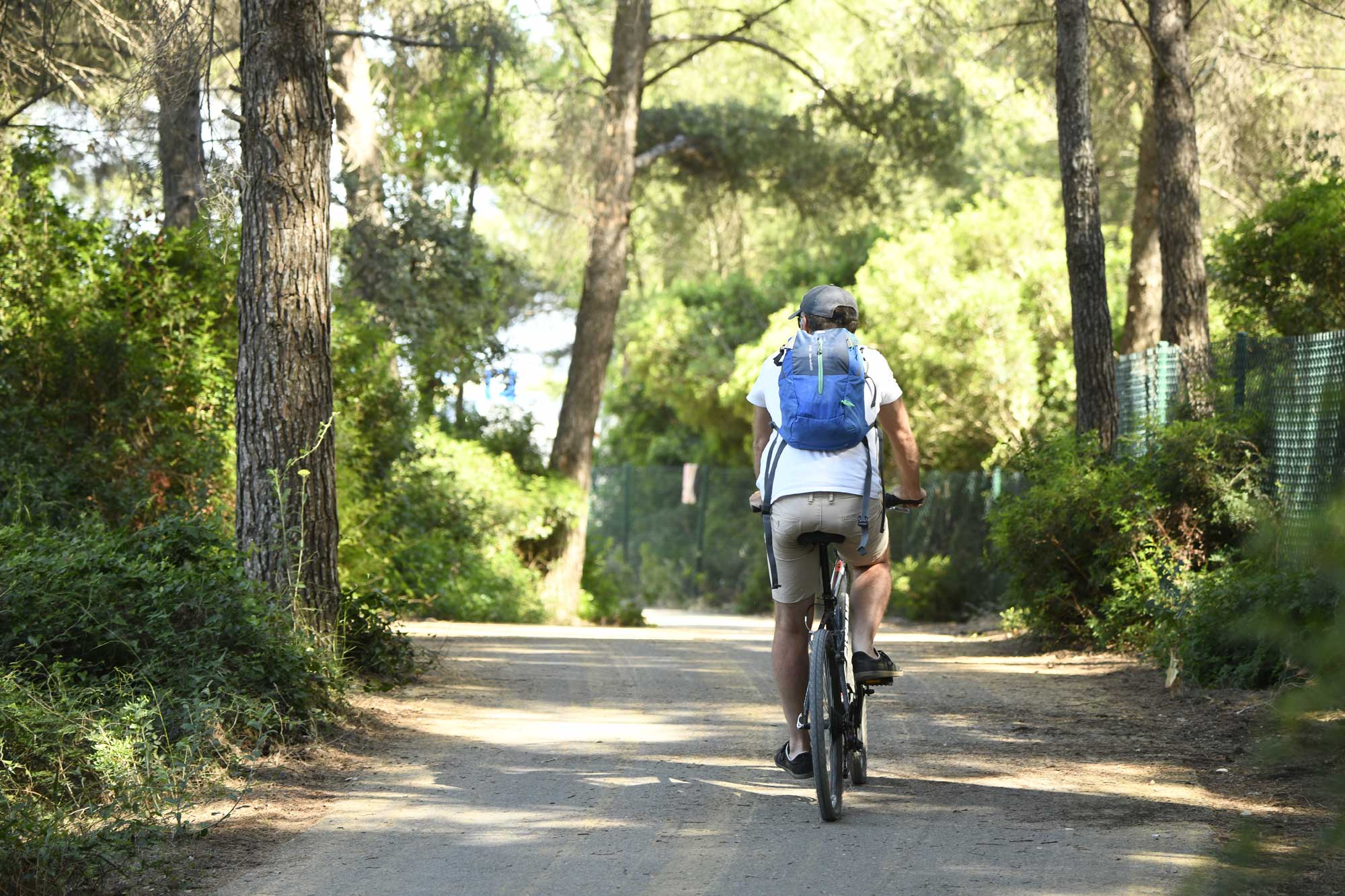 velo bois des aresquiers 3