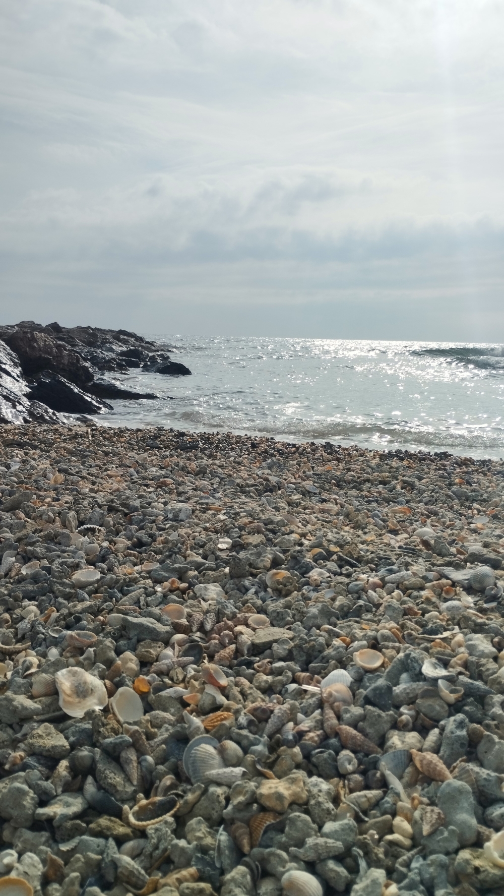 VISITE COMMENTÉE DE FRONTIGNAN-PLAGE AVEC DIVERS UNI VERS