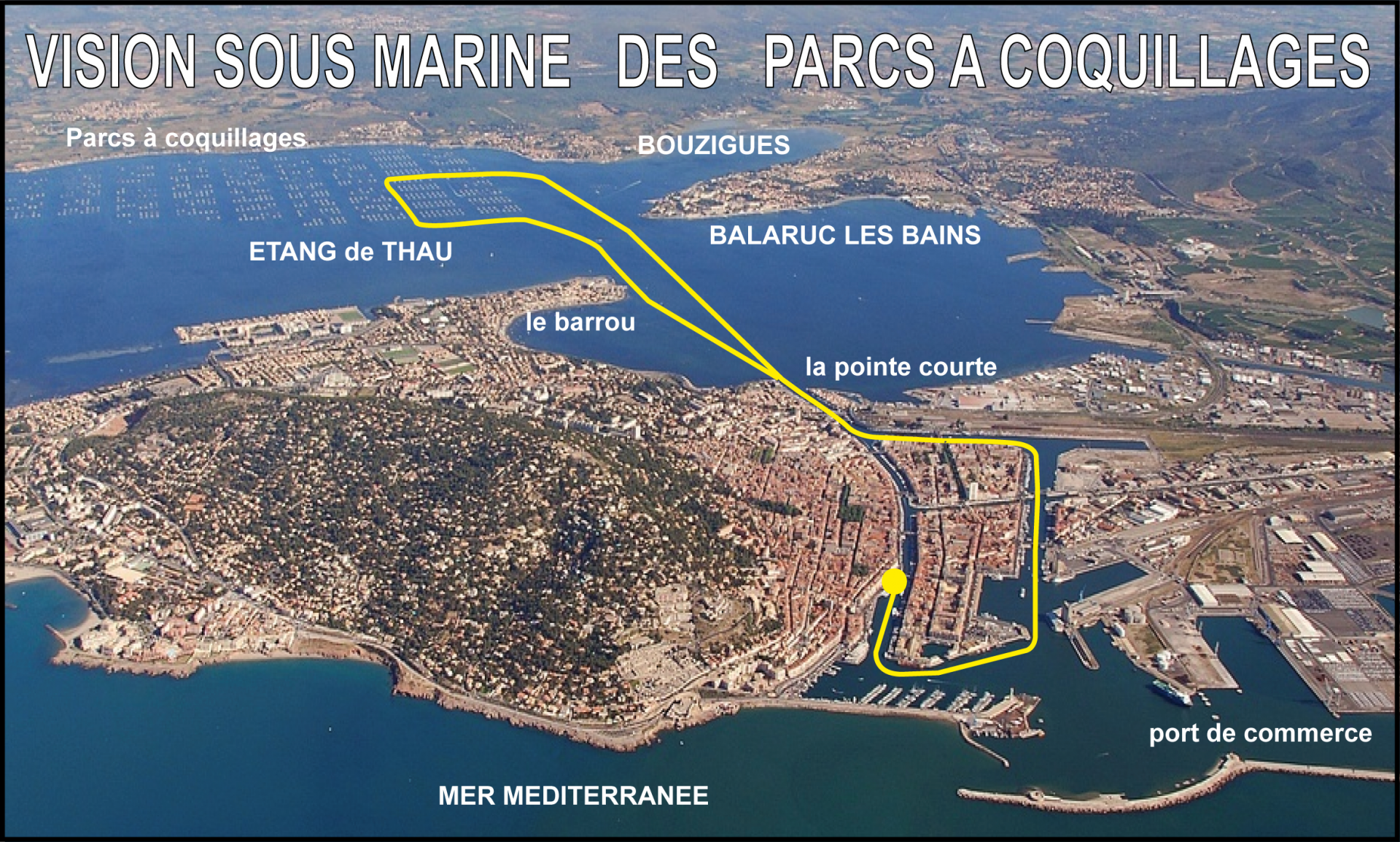 visite-etang-de-thau-et-des-parcs-a-coquillages-sub-sea-explorer-sete-croisieres-2-10435591