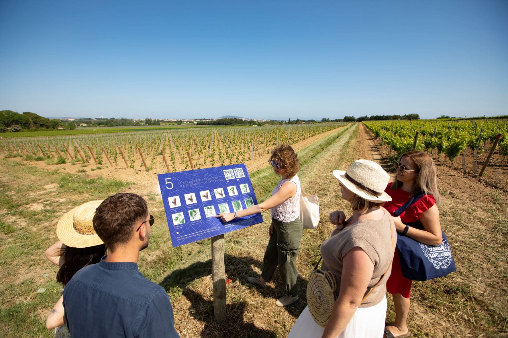  - © Domaine Saint-André