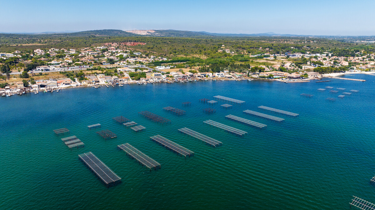 vue-drone-bouzigues-g-deloye-ot-thau-23176-1200px-16215836