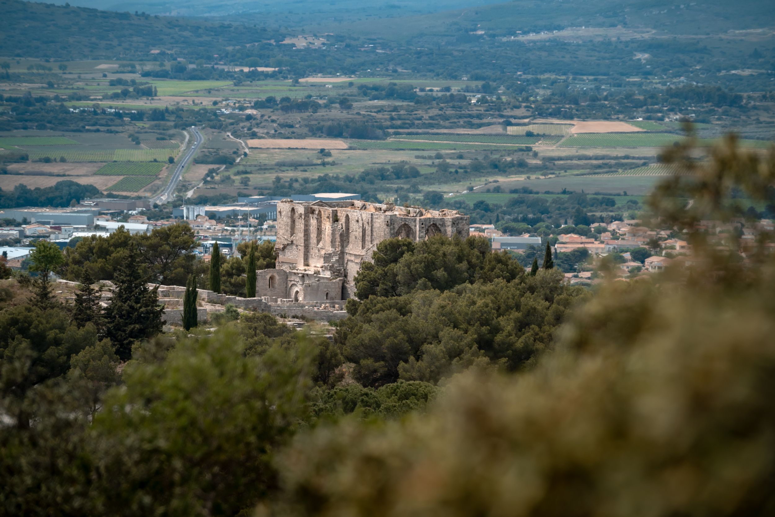 vue-sur-l-abbaye-saint-felix-de-montceau-donsansebas-ot-thau-26541-10781380